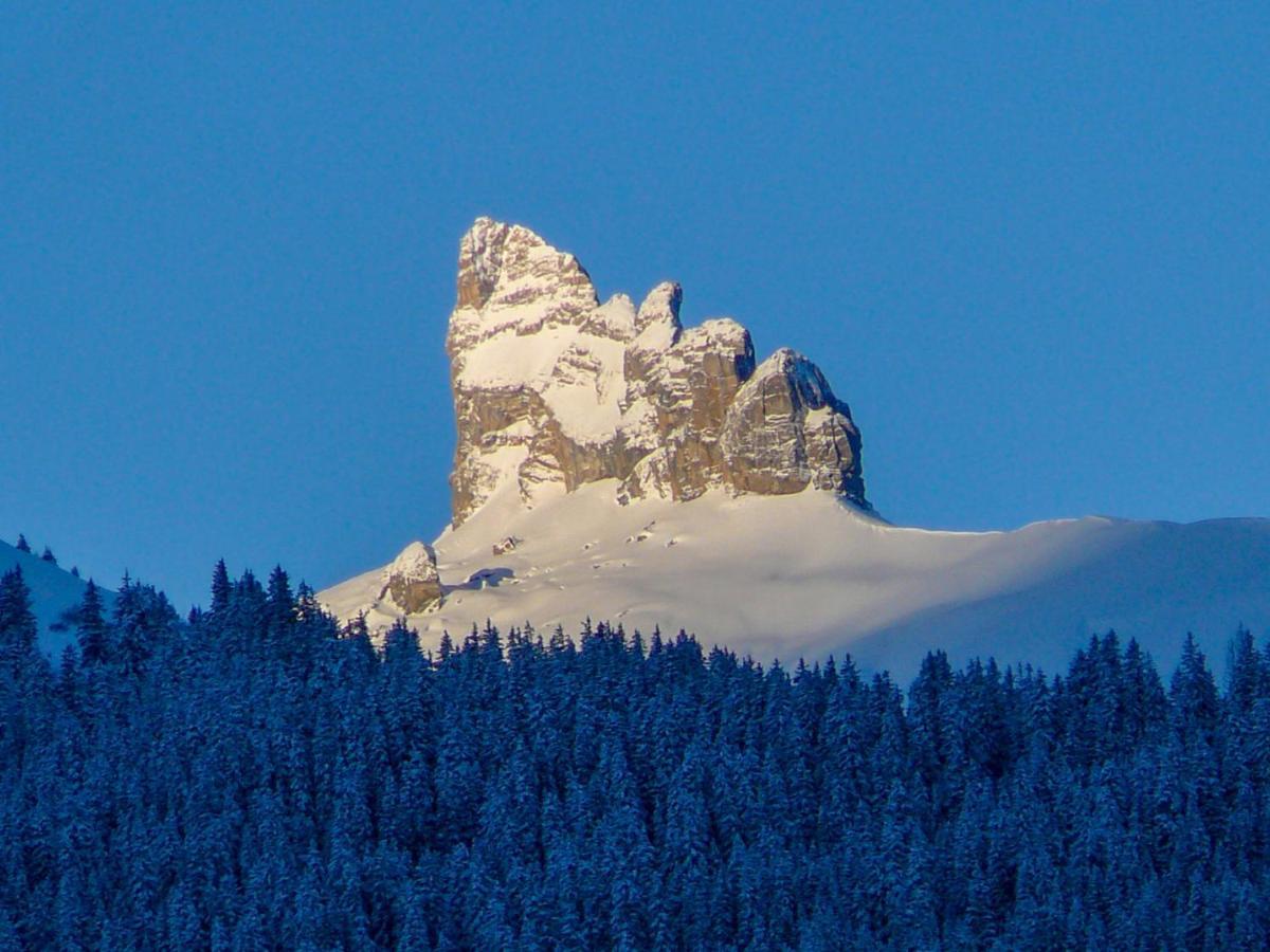 Apartment Rose Studio Y By Interhome Wengen Zewnętrze zdjęcie