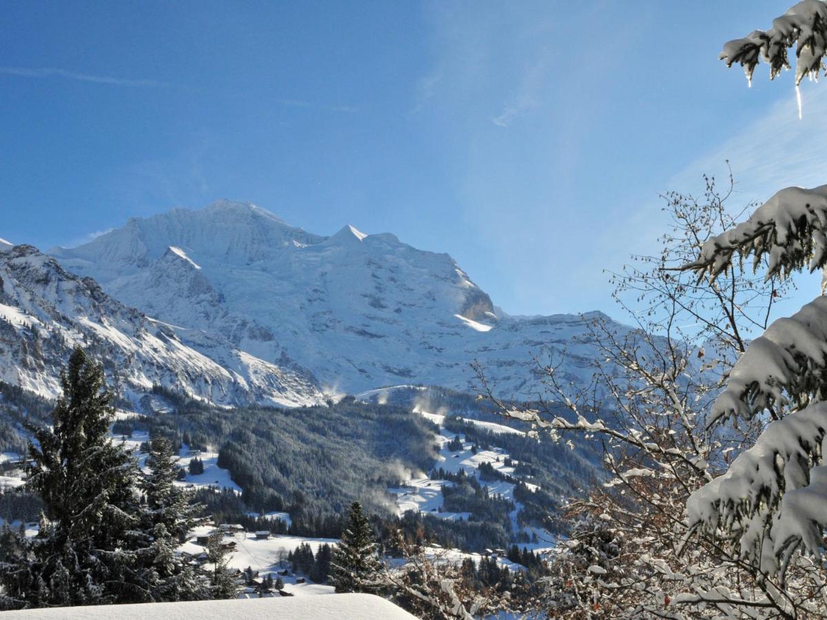Apartment Rose Studio Y By Interhome Wengen Zewnętrze zdjęcie